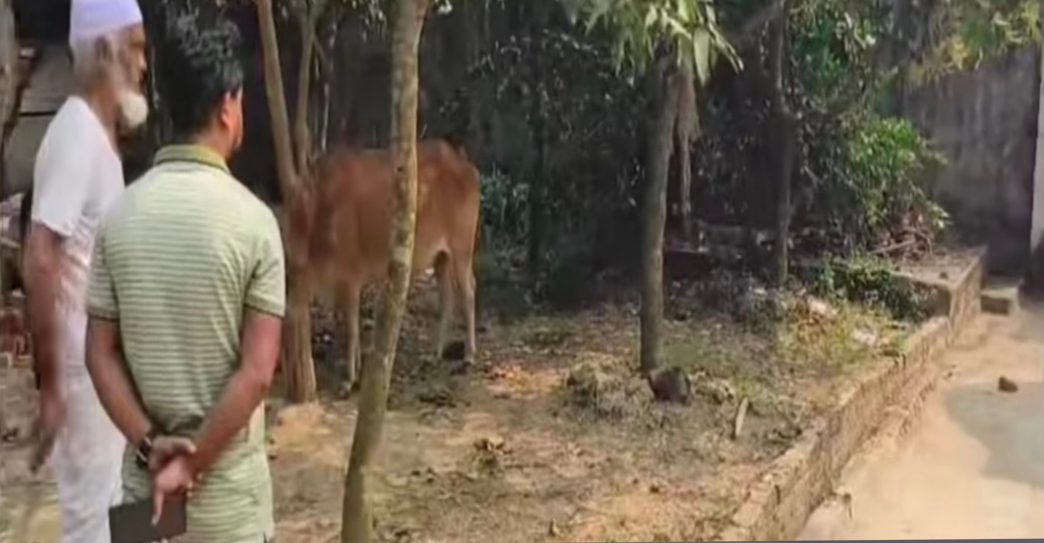 চন্দনাইশে এবার মাইক্রোবাসে গরু চুরি করতে এসে গুলিবর্ষণ,নেপথ্যে রহস্য কী!