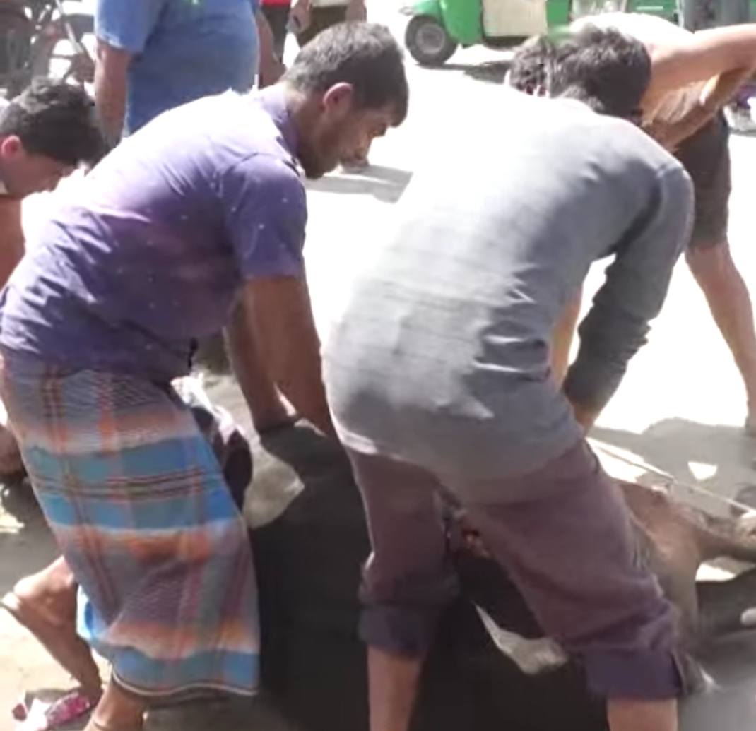 চট্টগ্রামে ৬৪০ টাকায় গরুর গোশত বিক্রি, গ্রাহক আস্থায় দূরন্ত বাজার
